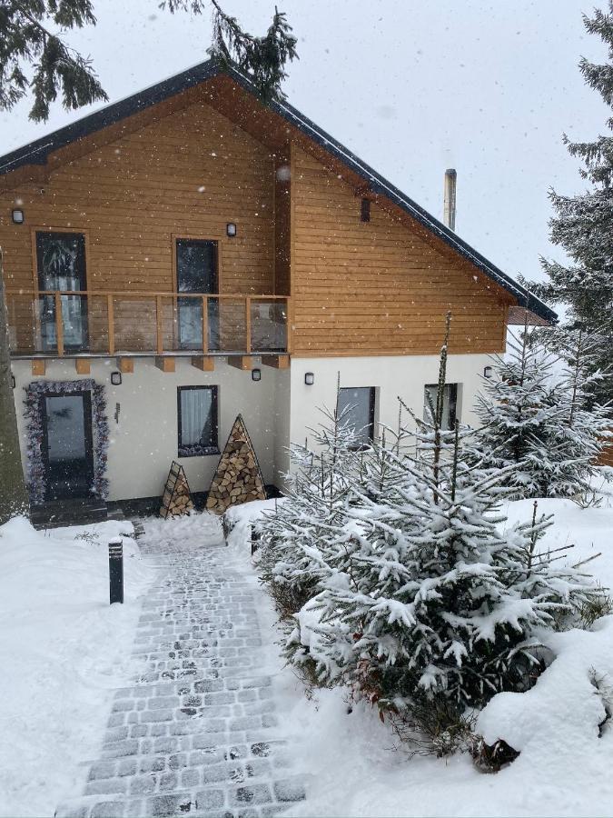 Gogodz Chalet Resort Iablunîțea Exterior foto