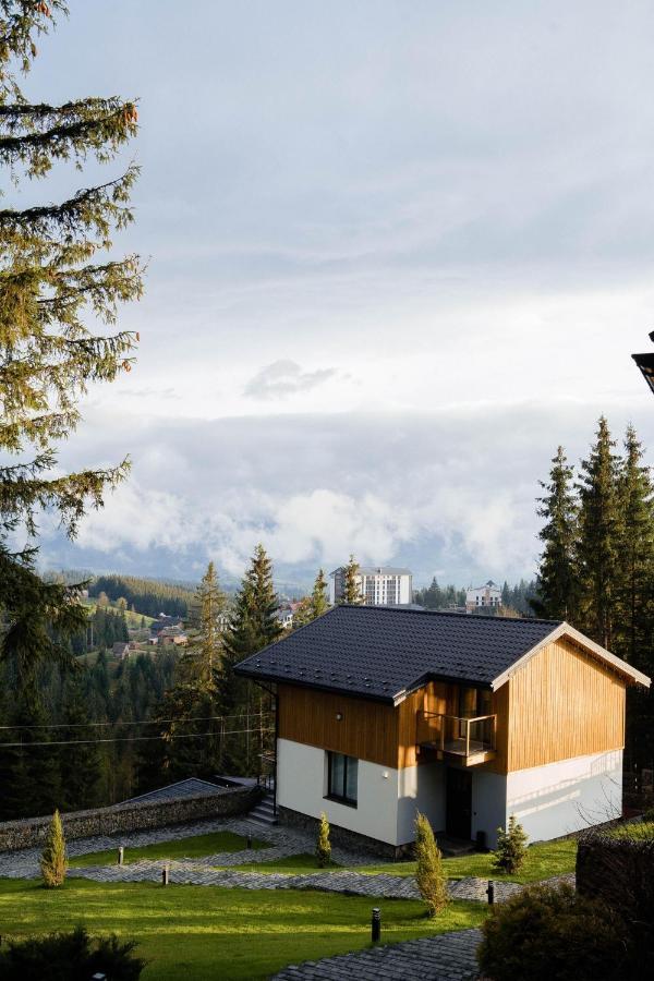 Gogodz Chalet Resort Iablunîțea Exterior foto