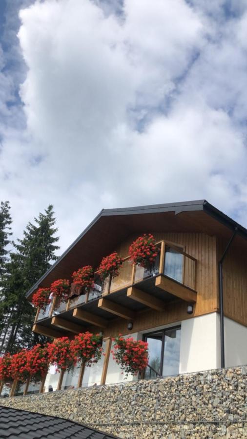 Gogodz Chalet Resort Iablunîțea Exterior foto