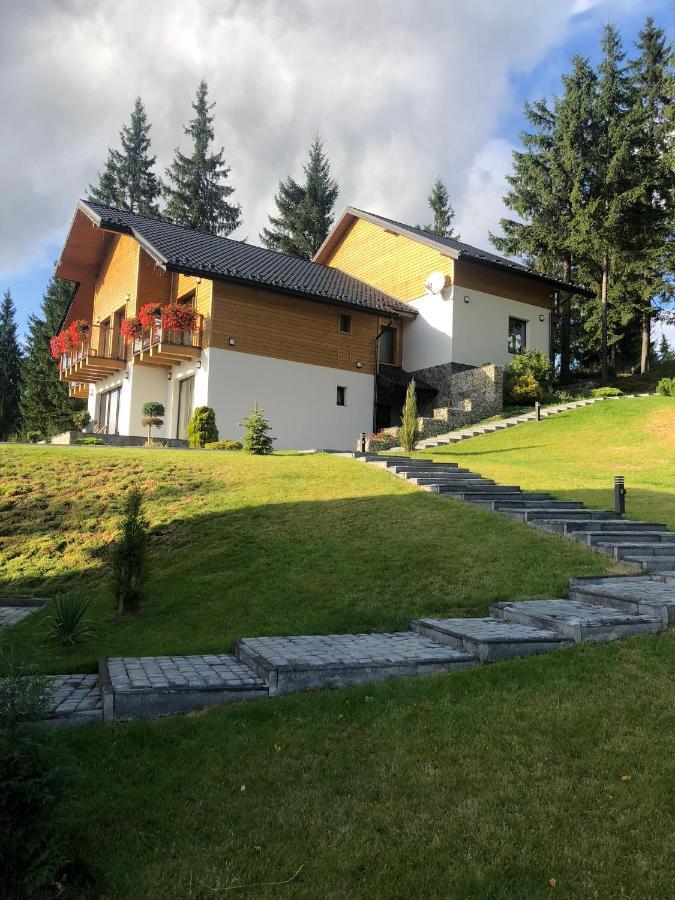 Gogodz Chalet Resort Iablunîțea Exterior foto
